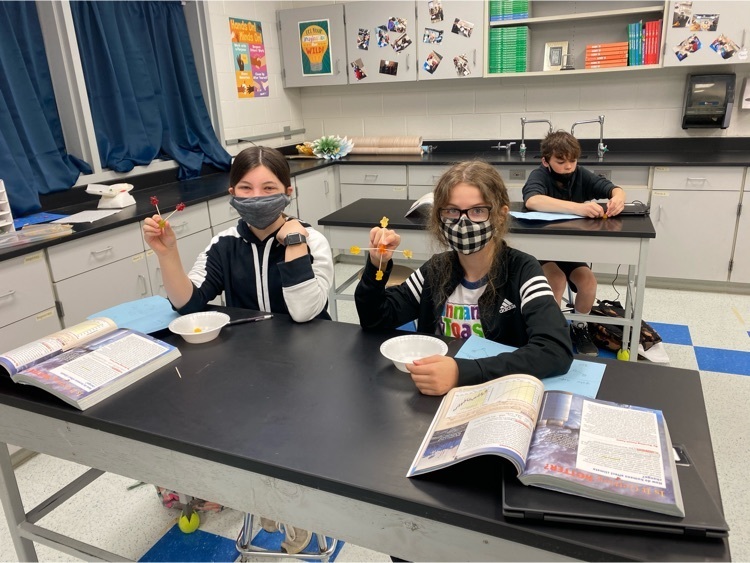 Building Molecules with Gummy Bears