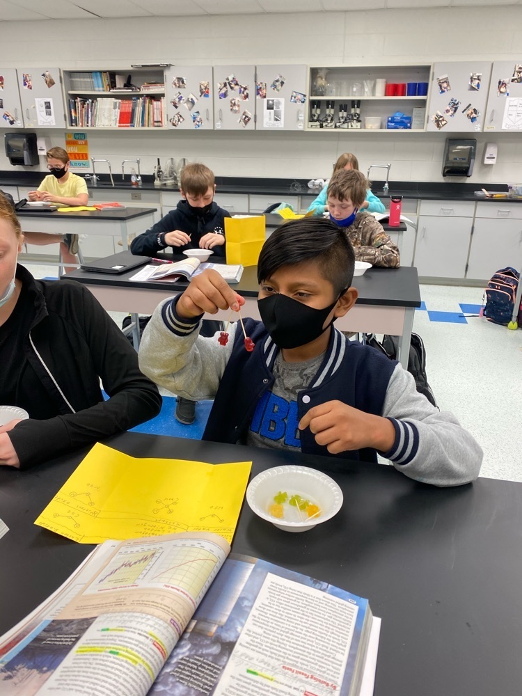 Building Molecules with Gummy Bears