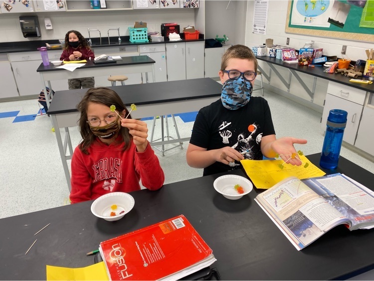 Building Molecules with Gummy Bears