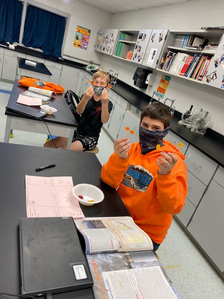 Building Molecules with Gummy Bears
